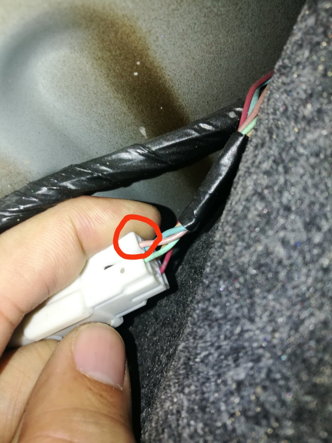 倒车灯正极线是哪个,配图给我!谢谢